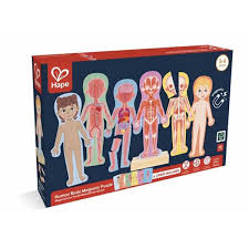 Hape Body Magnetic Puzzle